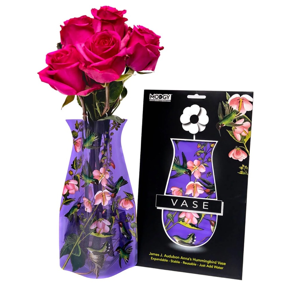 New Modgy Vase Anna’s Hummingbird